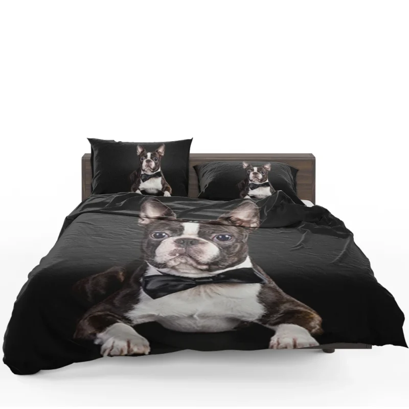 The Active and Friendly Boston Terrier: Boston Terrier Bedding Set