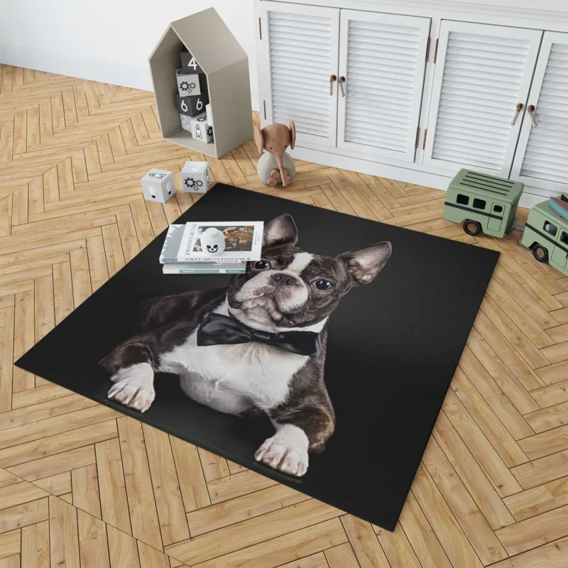 The Active and Friendly Boston Terrier: Boston Terrier Floor Rug 1