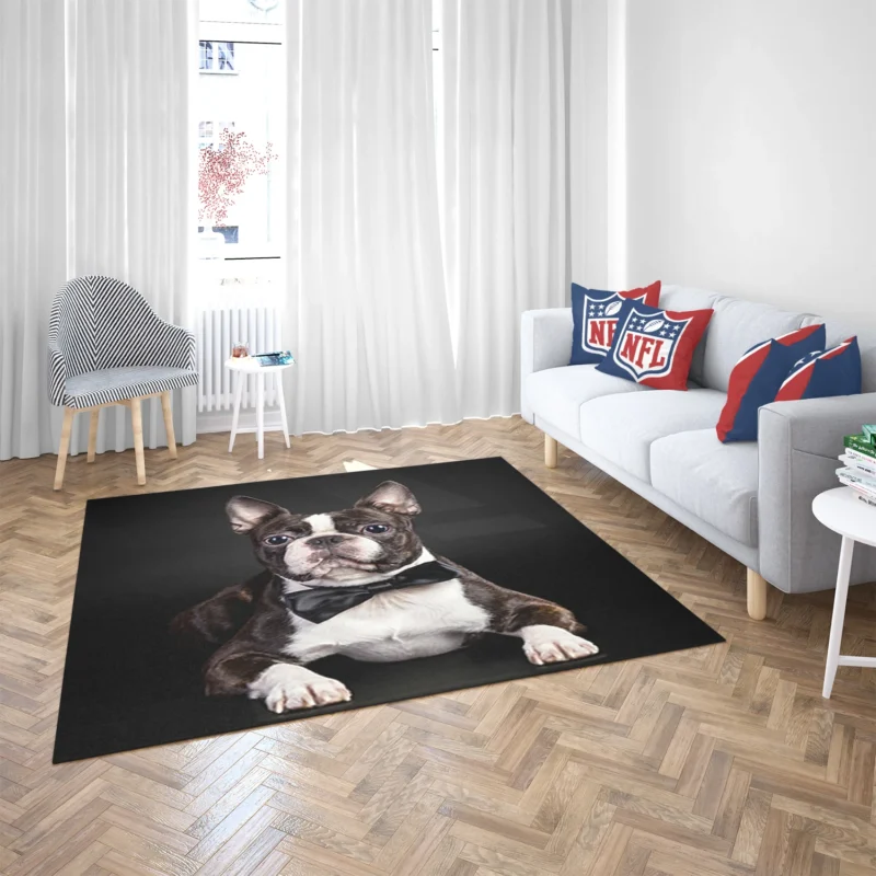 The Active and Friendly Boston Terrier: Boston Terrier Floor Rug 2