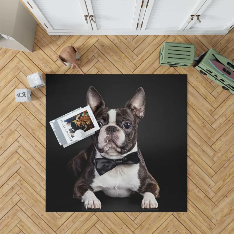 The Active and Friendly Boston Terrier: Boston Terrier Floor Rug