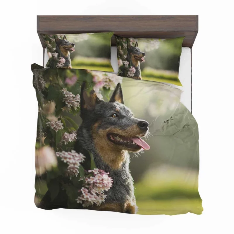 The Agile Working Breed: Australian Cattle Dog Bedding Set 1