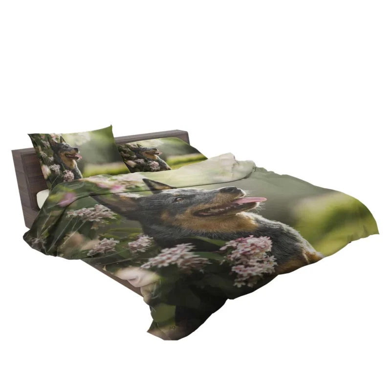 The Agile Working Breed: Australian Cattle Dog Bedding Set 2