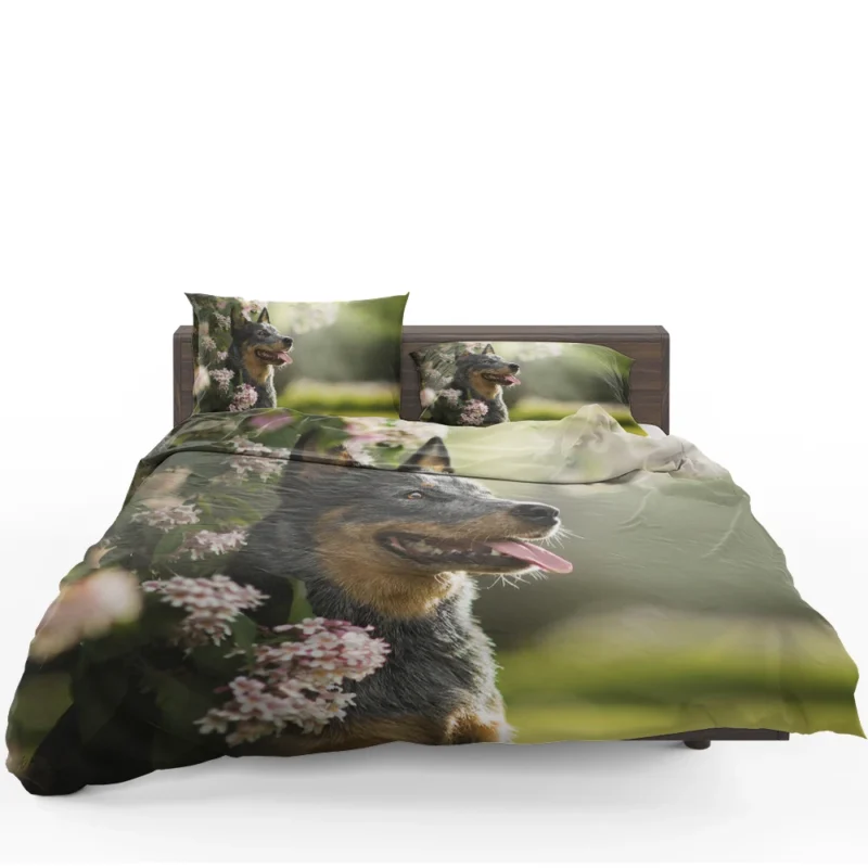 The Agile Working Breed: Australian Cattle Dog Bedding Set