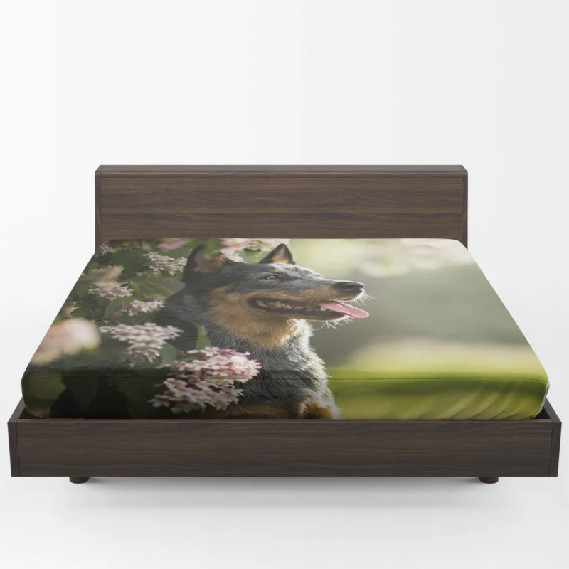 The Agile Working Breed: Australian Cattle Dog Fitted Sheet 1