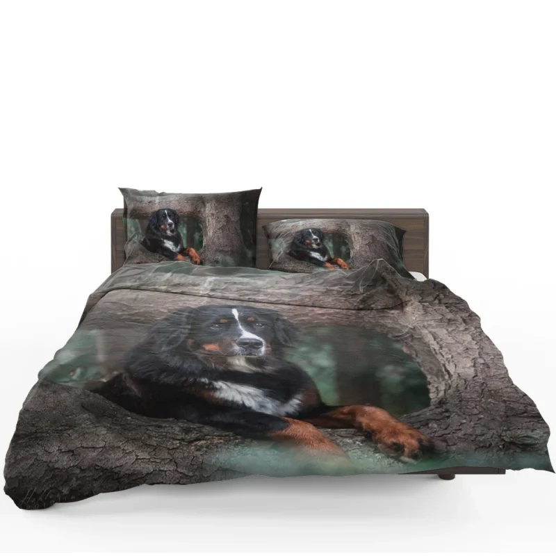 The Beauty of Bernese Mountain Dog: Bernese Mountain Dog Bedding Set