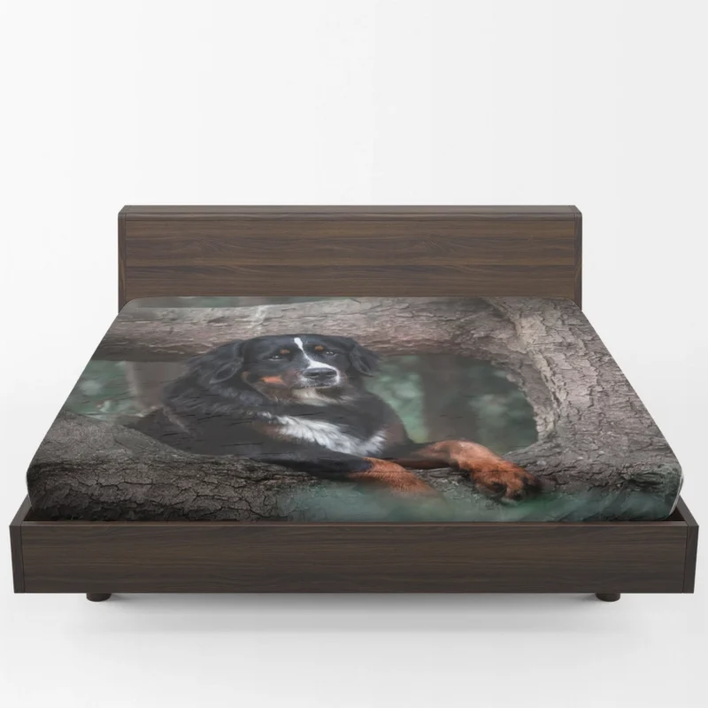 The Beauty of Bernese Mountain Dog: Bernese Mountain Dog Fitted Sheet 1