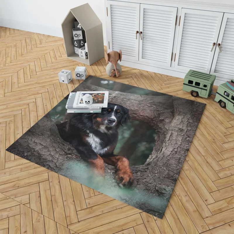 The Beauty of Bernese Mountain Dog: Bernese Mountain Dog Floor Rug 1