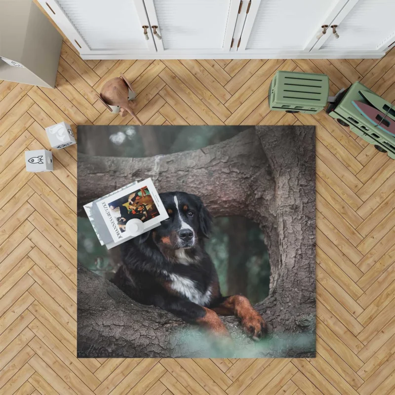 The Beauty of Bernese Mountain Dog: Bernese Mountain Dog Floor Rug