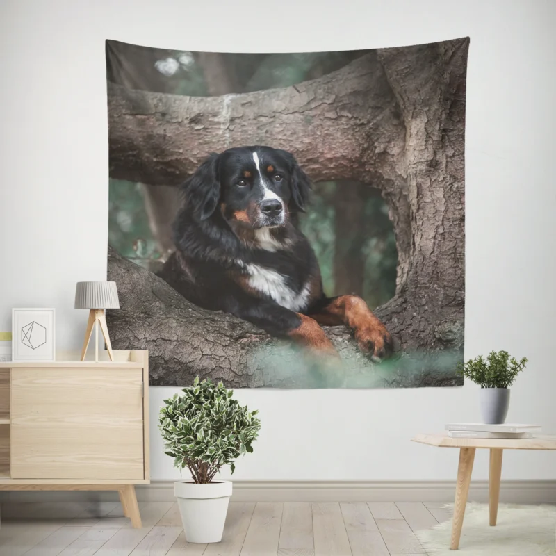 The Beauty of Bernese Mountain Dog  Bernese Mountain Dog Wall Tapestry