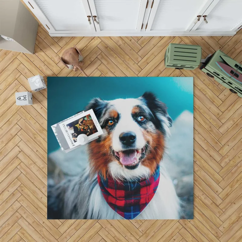 The Beauty of a Versatile Breed: Australian Shepherd Floor Rug