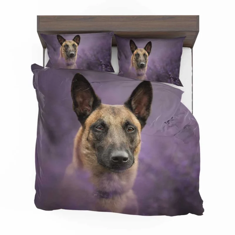 The Belgian Malinois in Action: Belgian Malinois Bedding Set 1