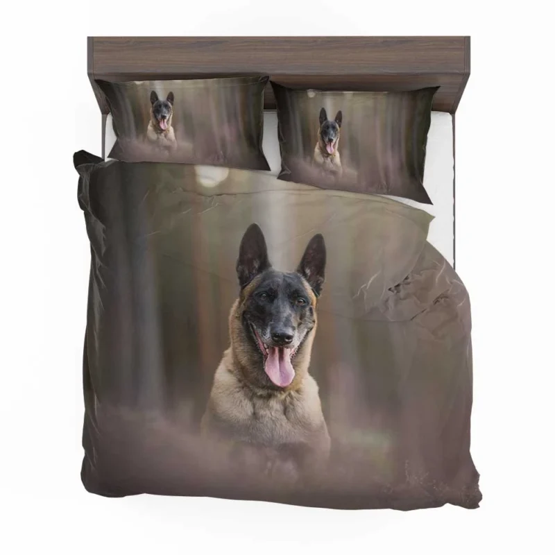 The Belgian Malinois with Depth Of Field: Belgian Shepherd Bedding Set 1