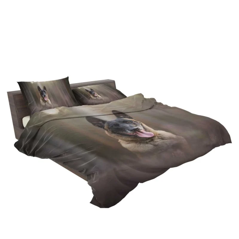 The Belgian Malinois with Depth Of Field: Belgian Shepherd Bedding Set 2