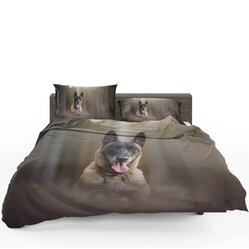 The Belgian Malinois with Depth Of Field: Belgian Shepherd Bedding Set