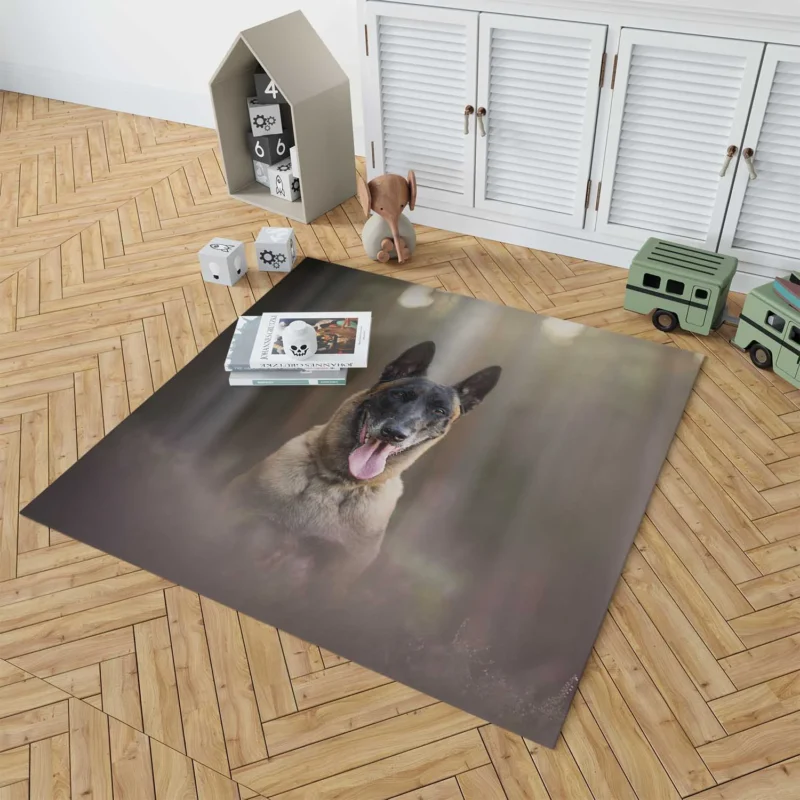 The Belgian Malinois with Depth Of Field: Belgian Shepherd Floor Rug 1