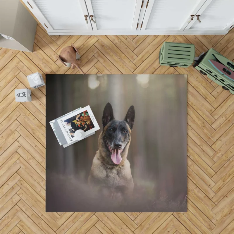 The Belgian Malinois with Depth Of Field: Belgian Shepherd Floor Rug