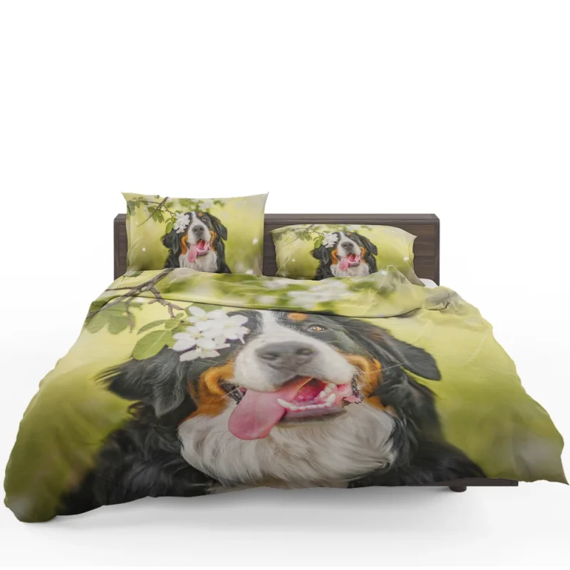 The Bernese Mountain Dog: Bernese Mountain Dog Bedding Set