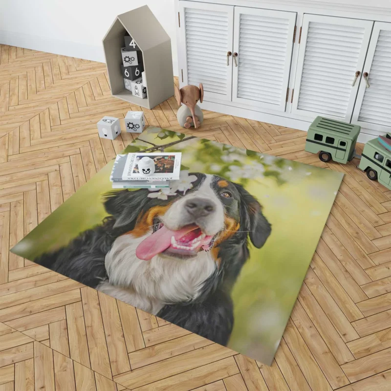 The Bernese Mountain Dog: Bernese Mountain Dog Floor Rug 1