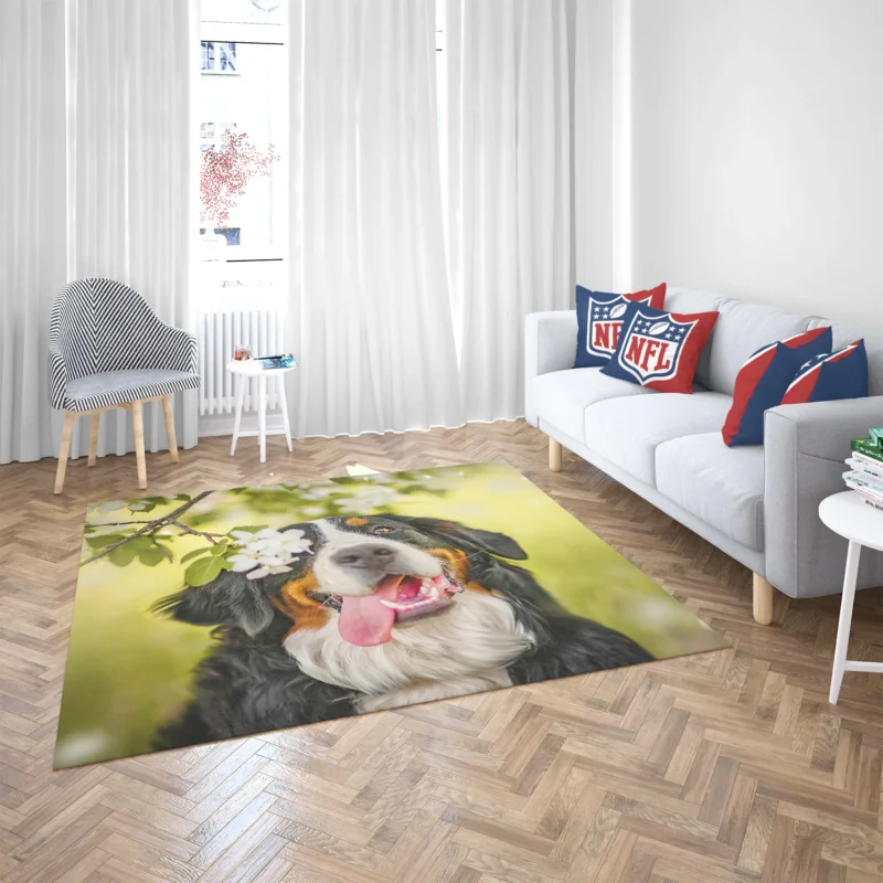 The Bernese Mountain Dog: Bernese Mountain Dog Floor Rug 2