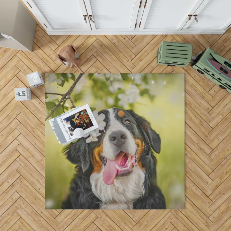 The Bernese Mountain Dog: Bernese Mountain Dog Floor Rug