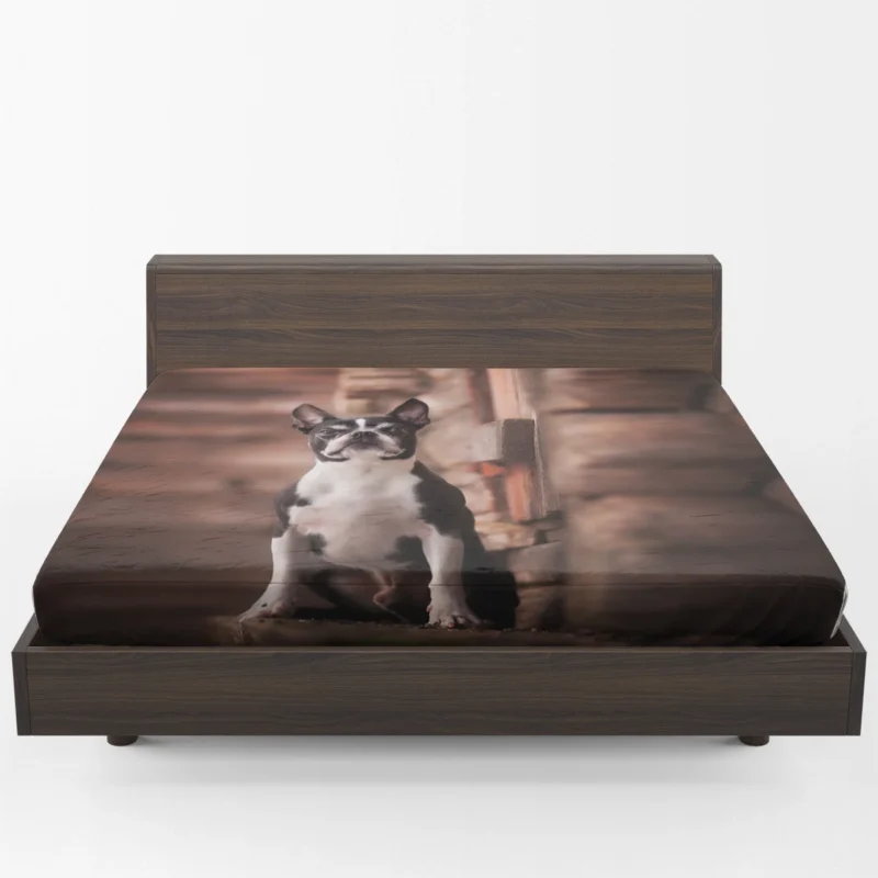 The Boston Terrier Charm: Boston Terrier Fitted Sheet 1