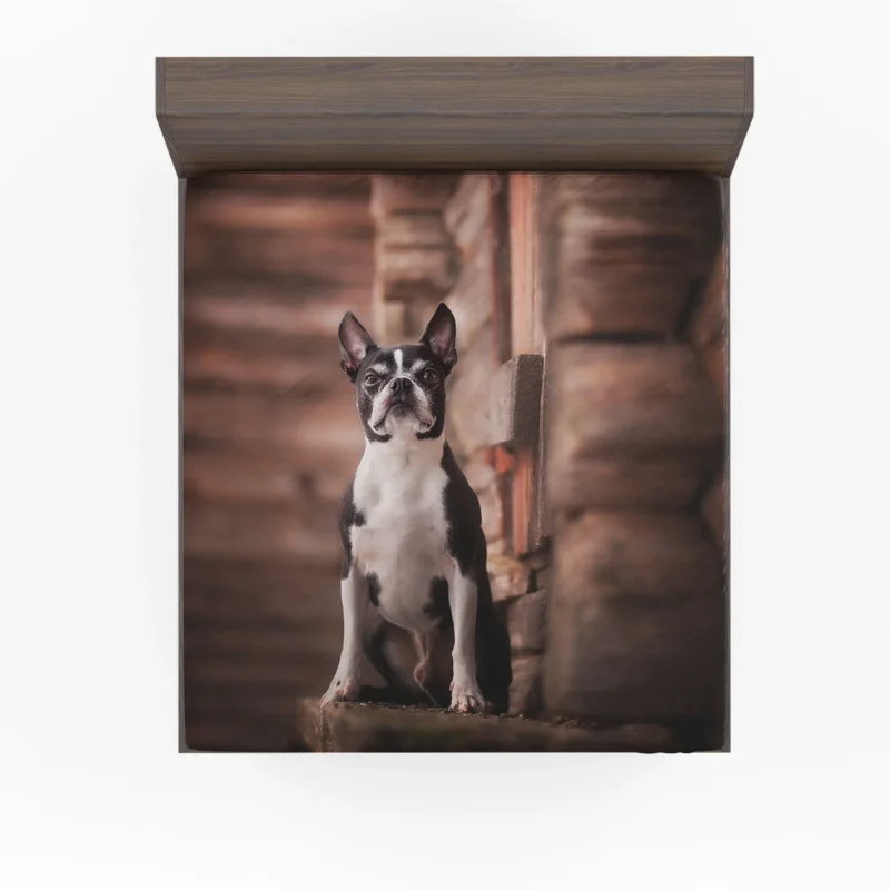 The Boston Terrier Charm: Boston Terrier Fitted Sheet