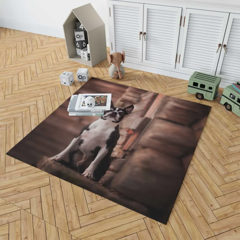 The Boston Terrier Charm: Boston Terrier Floor Rug 1