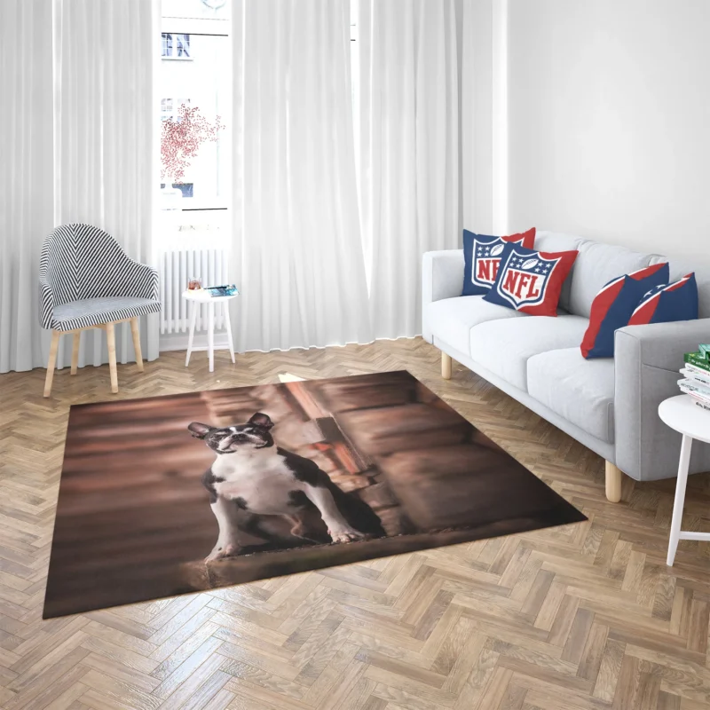 The Boston Terrier Charm: Boston Terrier Floor Rug 2