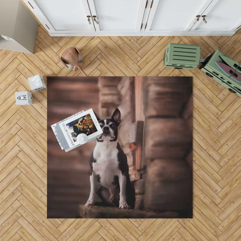 The Boston Terrier Charm: Boston Terrier Floor Rug