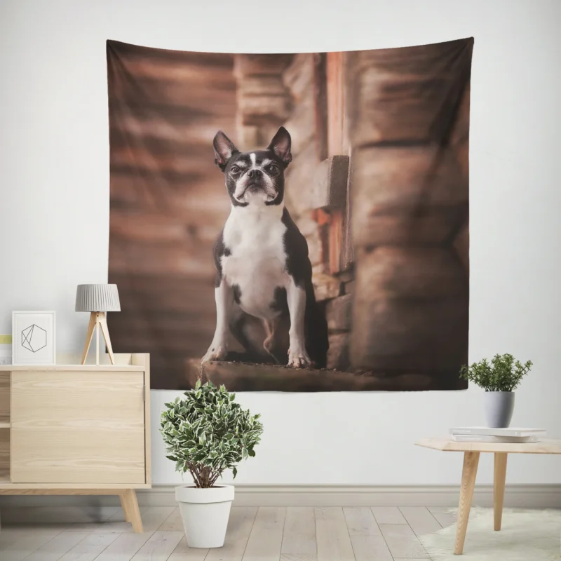 The Boston Terrier Charm  Boston Terrier Wall Tapestry