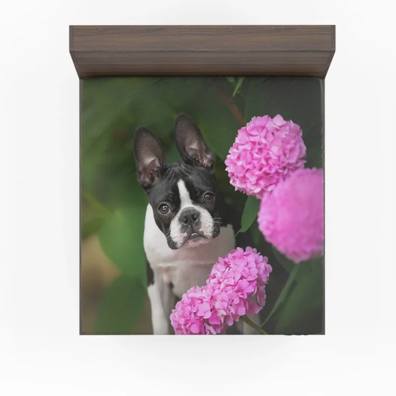 The Boston Terrier Love: Boston Terrier Fitted Sheet