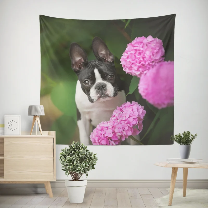 The Boston Terrier Love  Boston Terrier Wall Tapestry