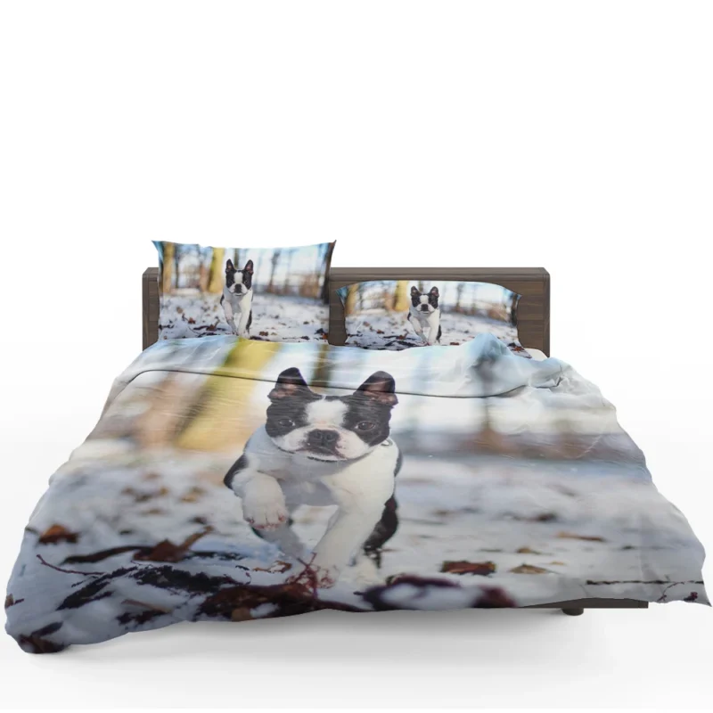 The Boston Terrier Personality: Boston Terrier Bedding Set