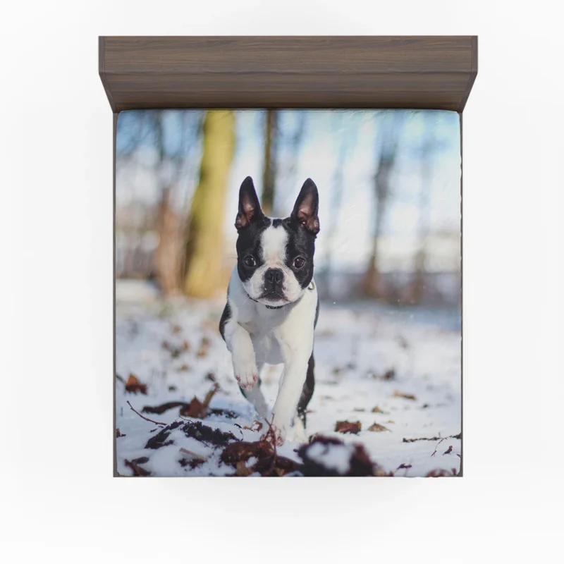 The Boston Terrier Personality: Boston Terrier Fitted Sheet