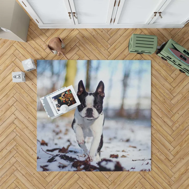 The Boston Terrier Personality: Boston Terrier Floor Rug