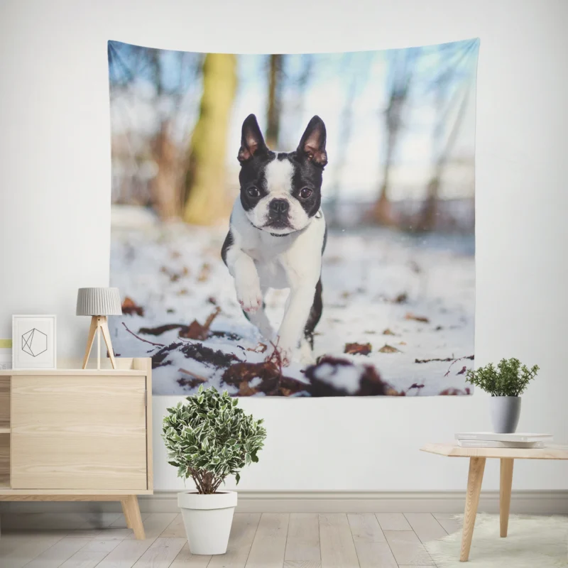 The Boston Terrier Personality  Boston Terrier Wall Tapestry