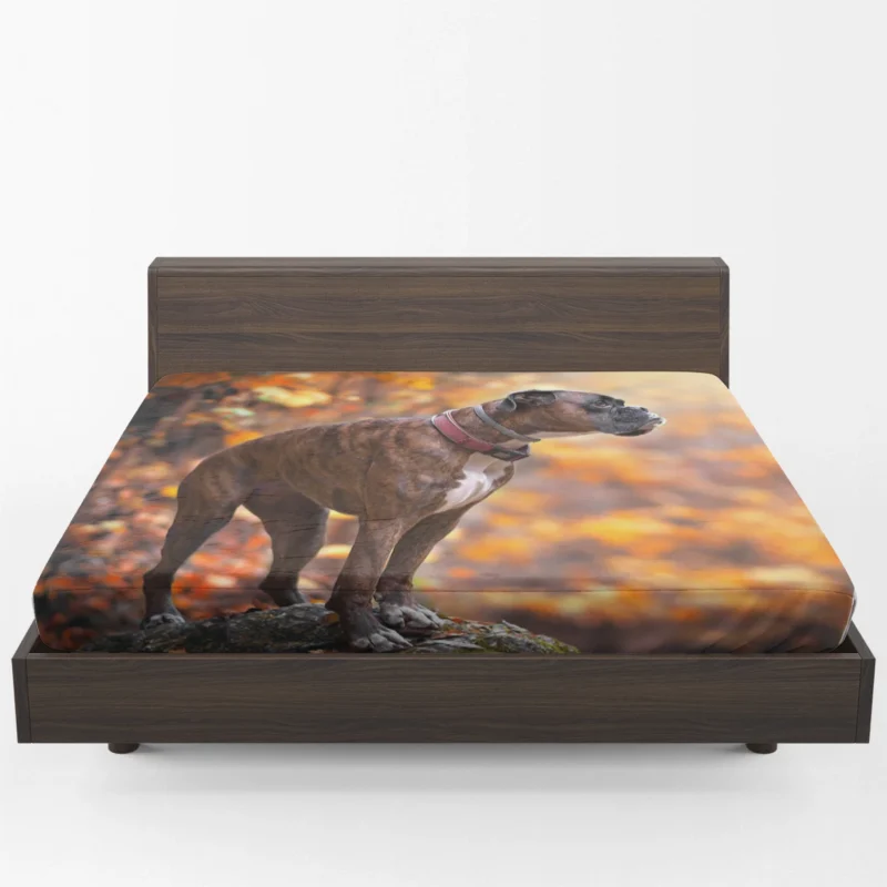 The Boxer (Dog) Beauty: Boxer Fitted Sheet 1