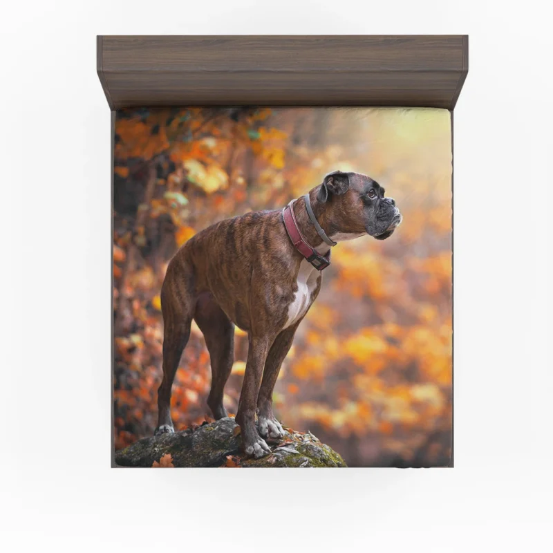 The Boxer (Dog) Beauty: Boxer Fitted Sheet