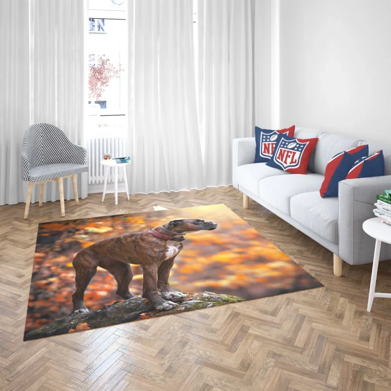 The Boxer (Dog) Beauty: Boxer Floor Rug 2