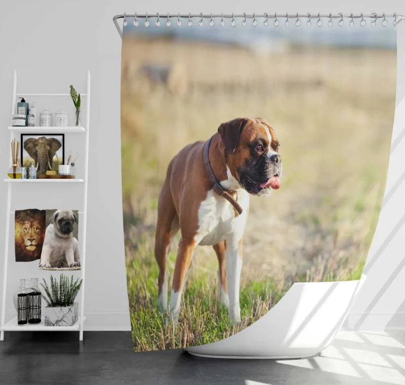 The Boxer Love: Boxer Shower Curtain