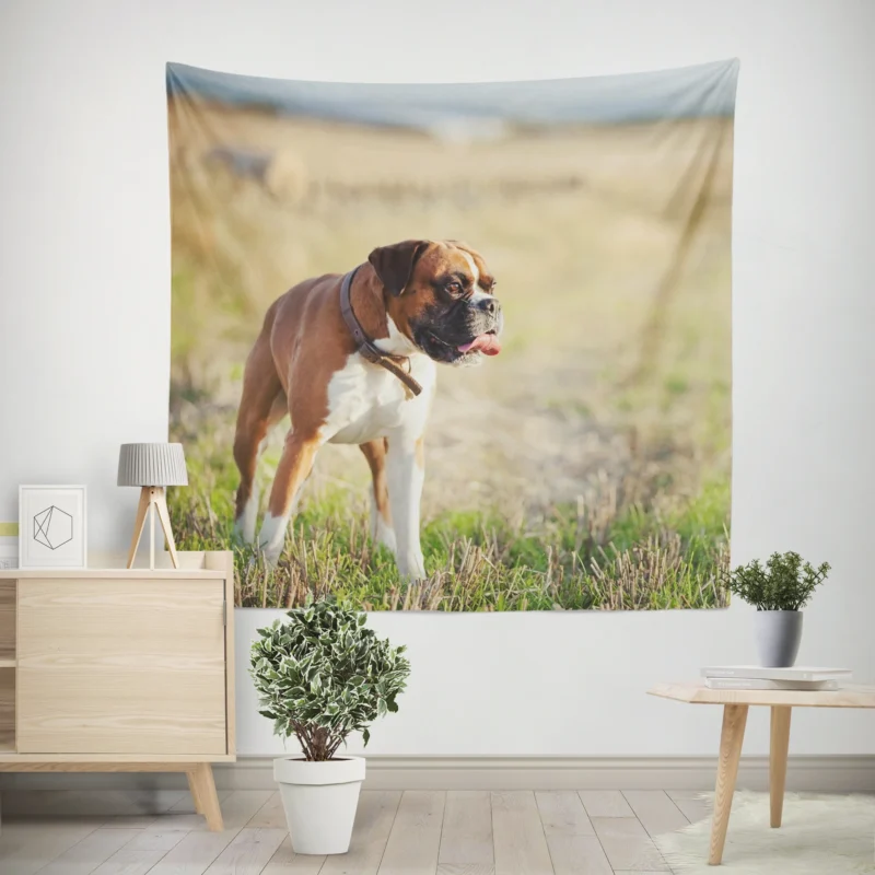 The Boxer Love  Boxer Wall Tapestry