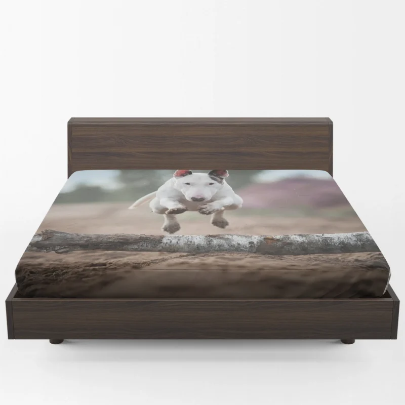 The Elegant Bull Terrier: Bull Terrier Fitted Sheet 1