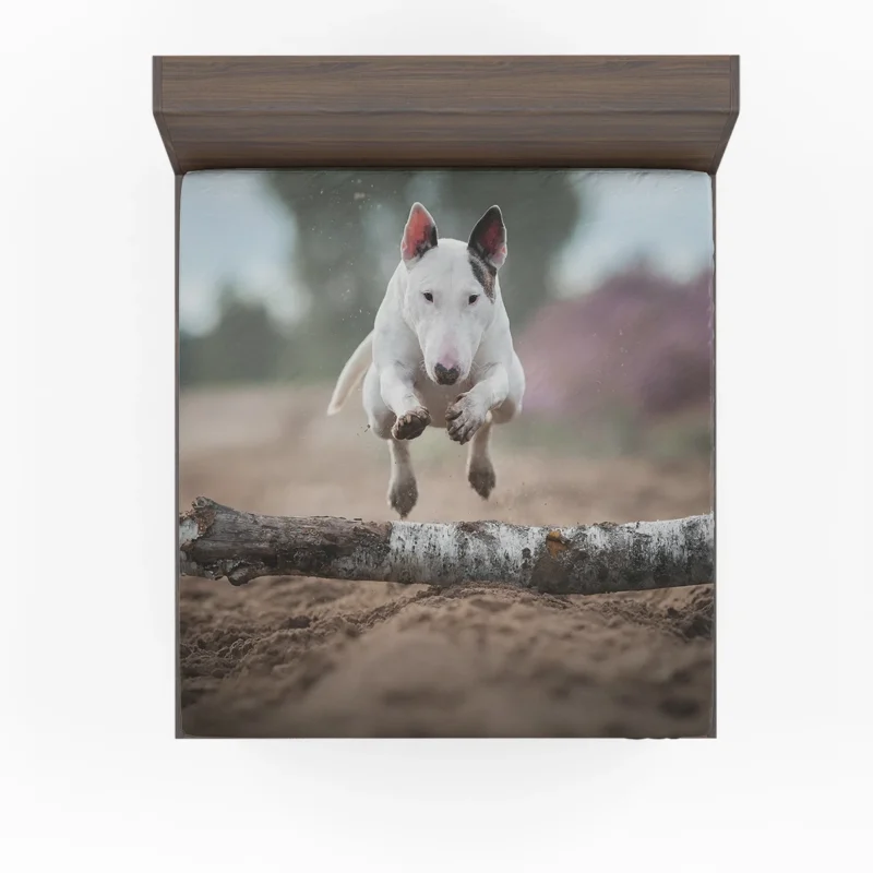 The Elegant Bull Terrier: Bull Terrier Fitted Sheet