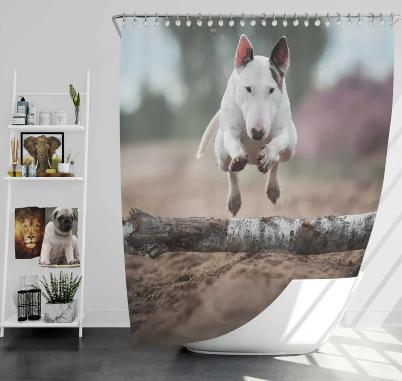 The Elegant Bull Terrier: Bull Terrier Shower Curtain