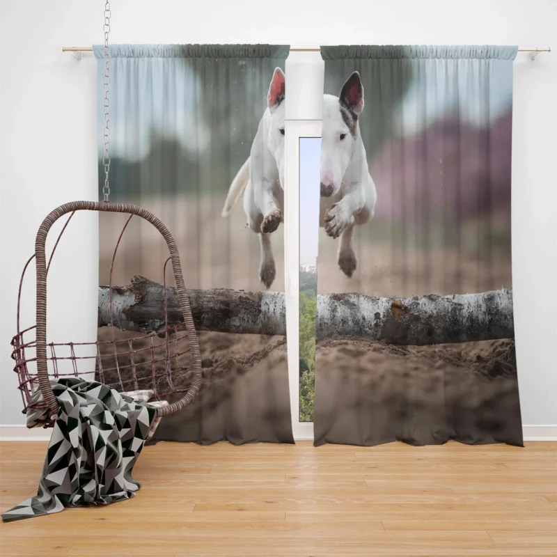 The Elegant Bull Terrier: Bull Terrier Window Curtain