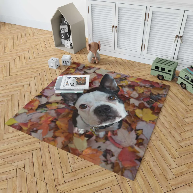 The Energetic Boston Terrier: Boston Terrier Floor Rug 1