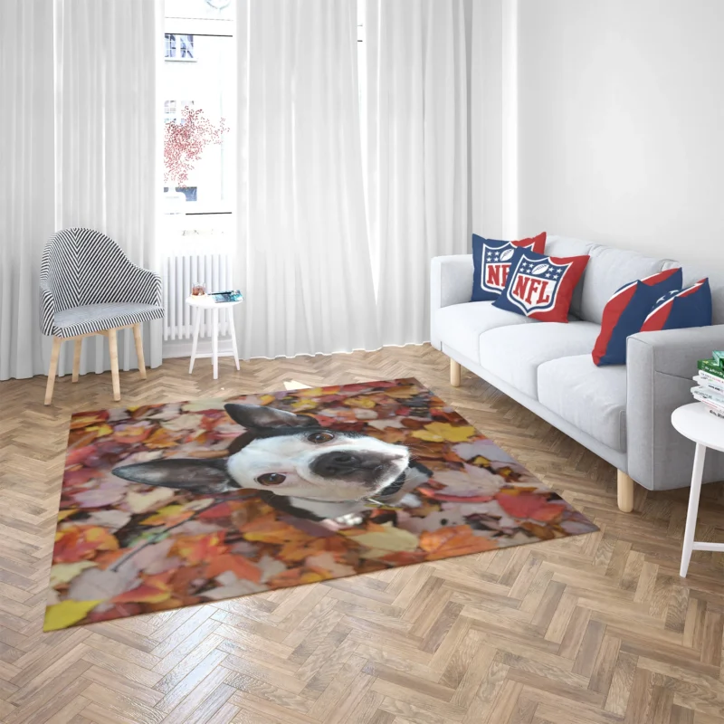 The Energetic Boston Terrier: Boston Terrier Floor Rug 2