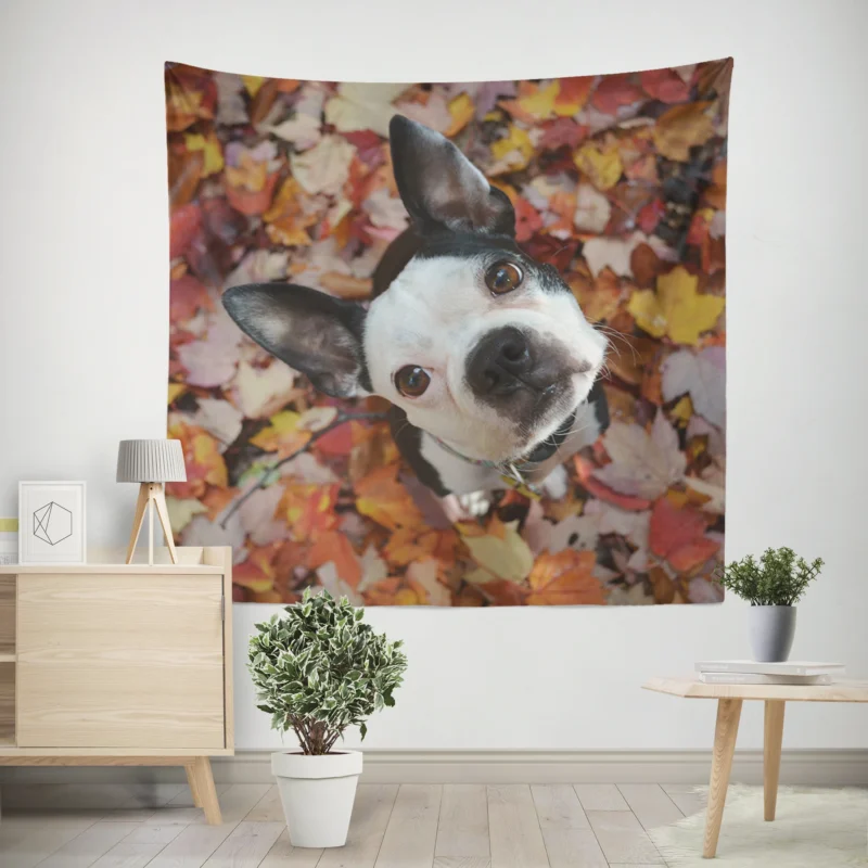 The Energetic Boston Terrier  Boston Terrier Wall Tapestry