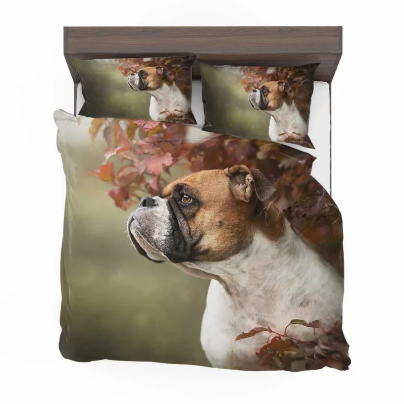 The Energetic Boxer (Dog): Boxer Bedding Set 1