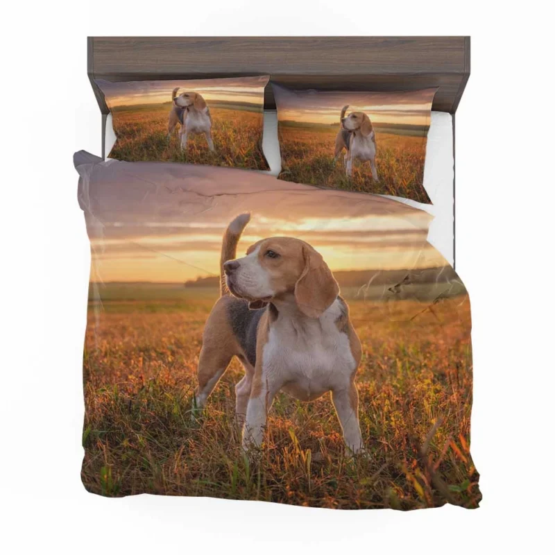 The Energetic and Friendly Beagle: Beagle Bedding Set 1